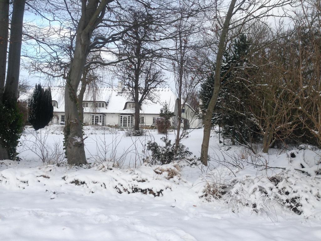Rane Ladegaard Casa de hóspedes Ebeltoft Exterior foto